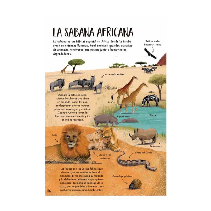 Mi Primer Libro De La Naturaleza