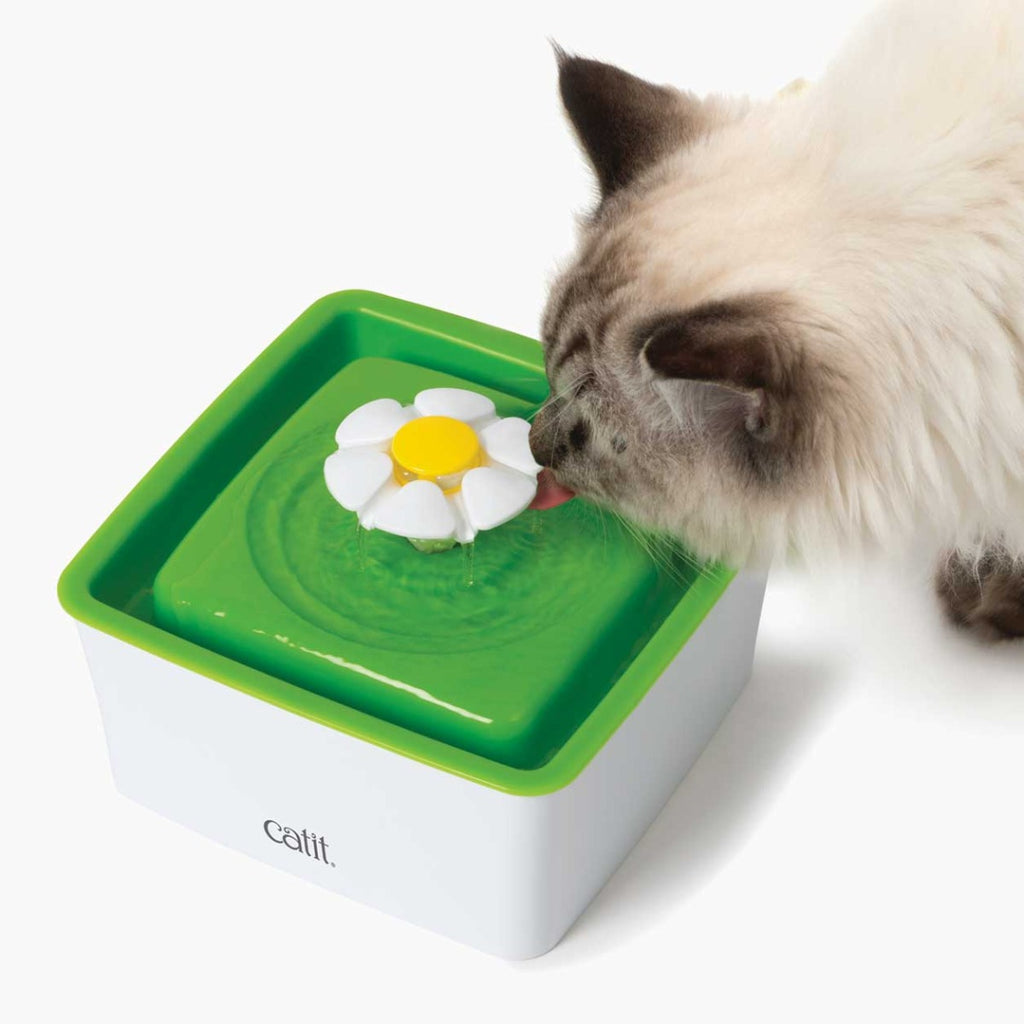 Mini Bebedero Estilo Fuente Floral para Gatos