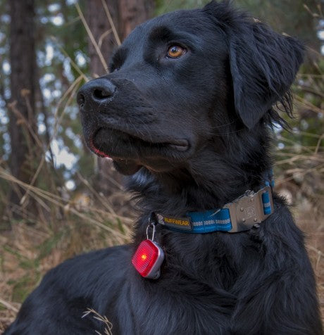 Luz de Seguridad "The Beacon" Ruffwear 