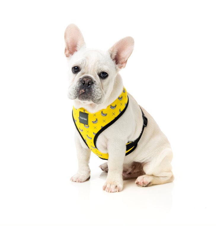 Arnés para Perros "Monkey Mania" Fuzzyard  - L