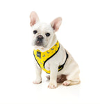 Arnés para Perros "Monkey Mania" Fuzzyard  - L