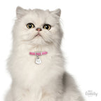 Placa Friends Gato "My Family" Persa Blanco