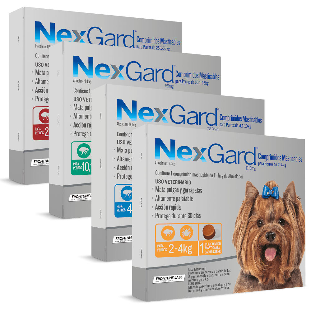 NexGard Antiparasitario Externo (1 Comprimido) - 2 a 4 Kilos