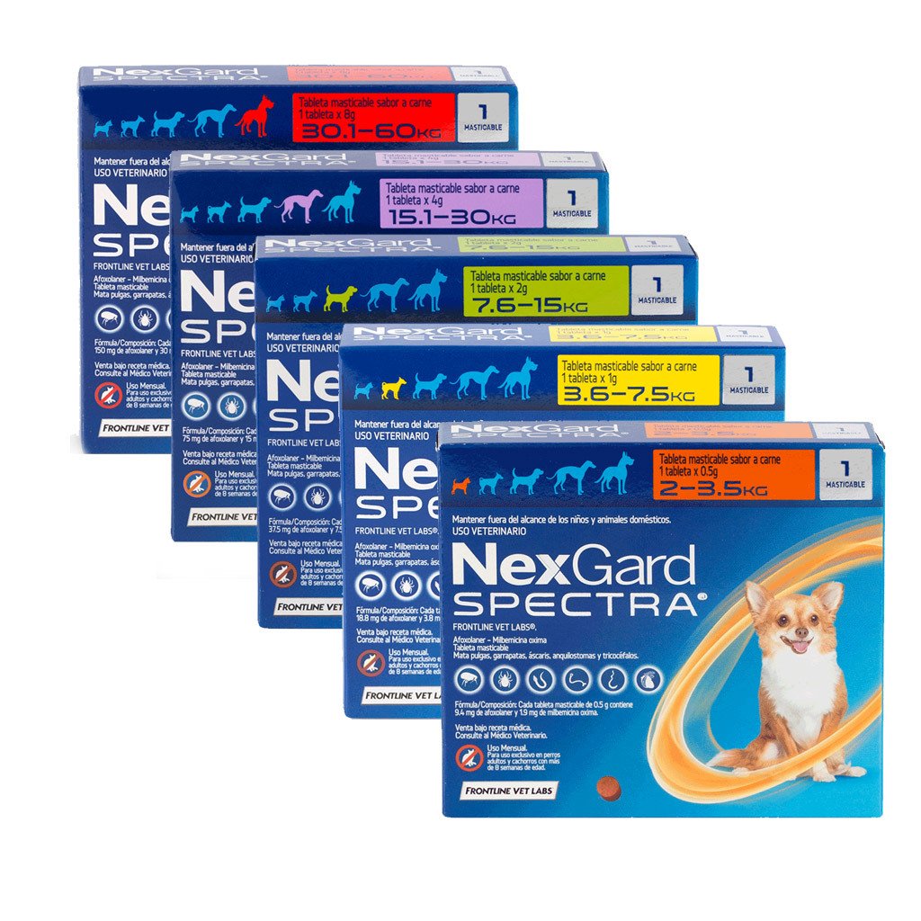 NexGard Spectra Antiparasitario - 1 tableta - 2 a 3,5 kilos