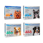 NexGard 3 Comprimido masticable para perros, protección mensual contra pulgas y garrapatas con afoxolaner.