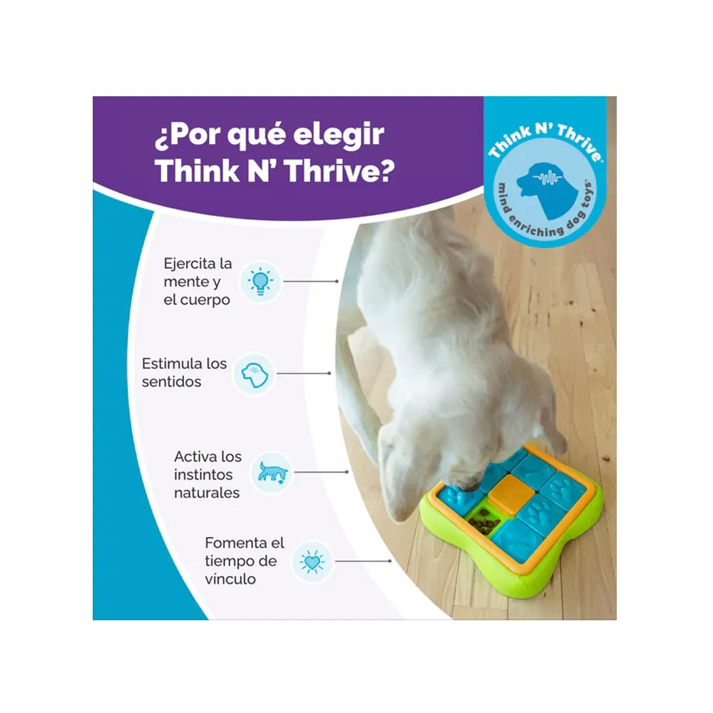 Nina Ottosson Puzzle Challange Slider para perros con tablero interactivo verde, piezas deslizantes azules con huellas y compartimentos