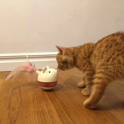 Nina Ottoson "Hunt'n Swat Treat Tumbler" para Gatos