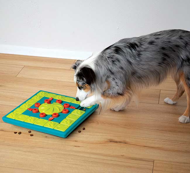 Nina Ottosson "Multipuzzle" para Perros