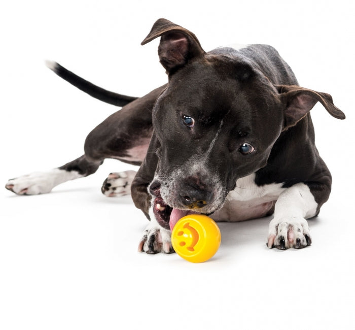 Planet Dog Nooks - Amarillo