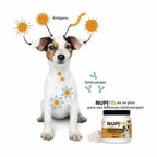 Frasco Nup! Pets Suplemento Pre & Probióticos Pollo 120 gramos para salud digestiva de perros y gatos.