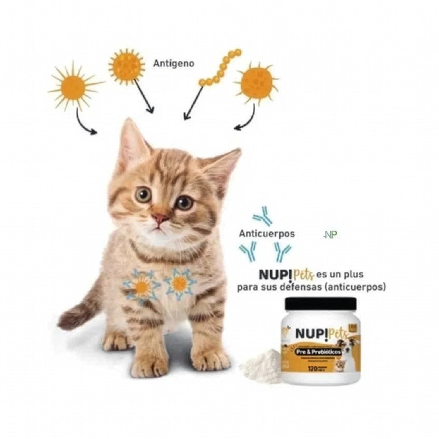 Nup! Pets Suplemento Pre & Probióticos Salmón 120 g