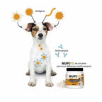 Nup! Pets Suplemento Pre & Probióticos Salmón 120 g