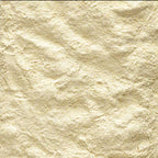 Papilla de Aves "Nutribird A21"