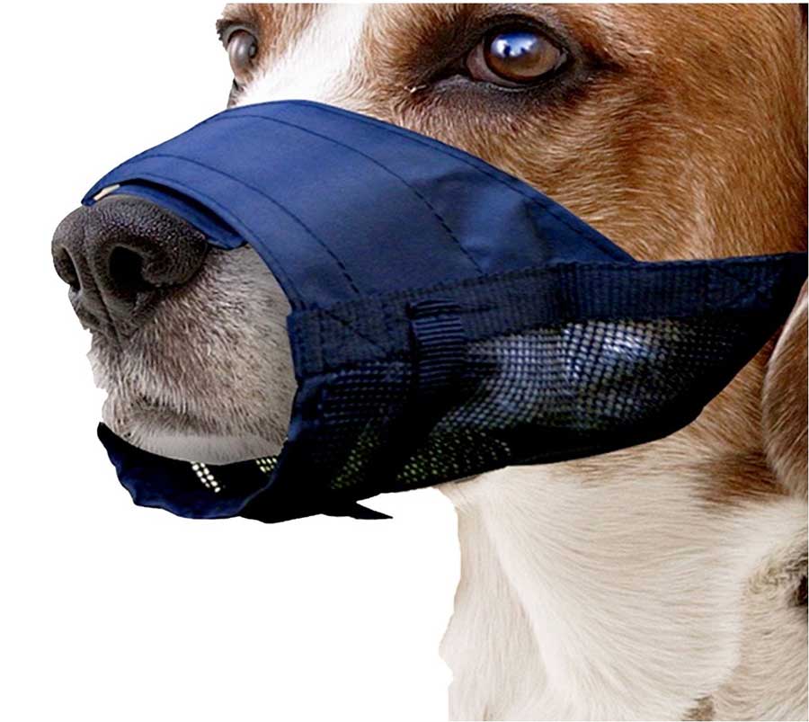 Bozal de Nylon Pawise