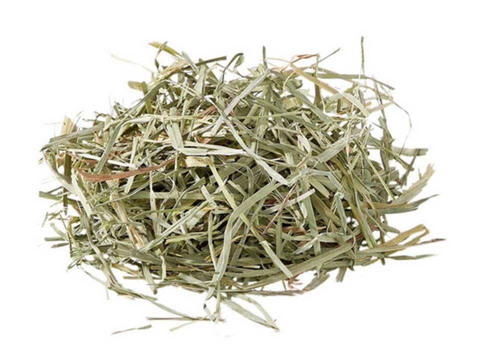 Heno "Orchard Grass Hay" Oxbow