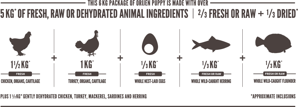 Orijen Puppy para Cachorros