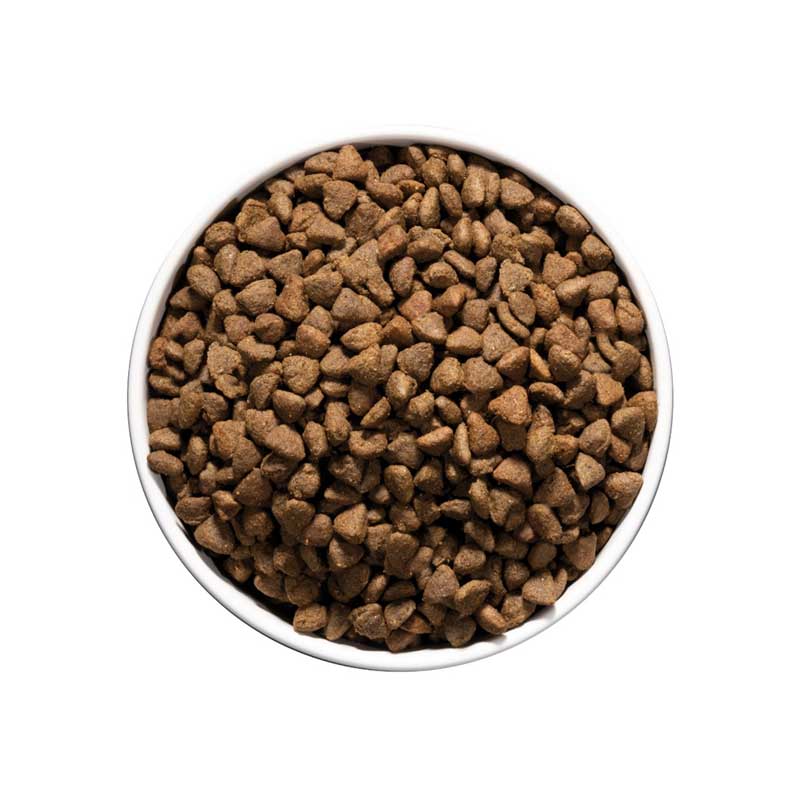 Ownat Care Hypoallergenic para Gatos 1,5 Kg