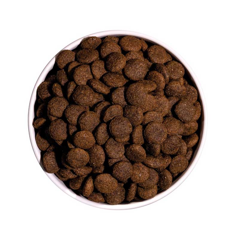 Ownat Classic Pato para Perros