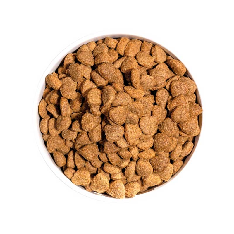 Ownat Classic Light para Perros
