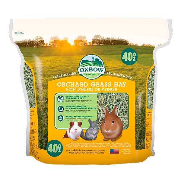 Heno "Orchard Grass Hay" Oxbow