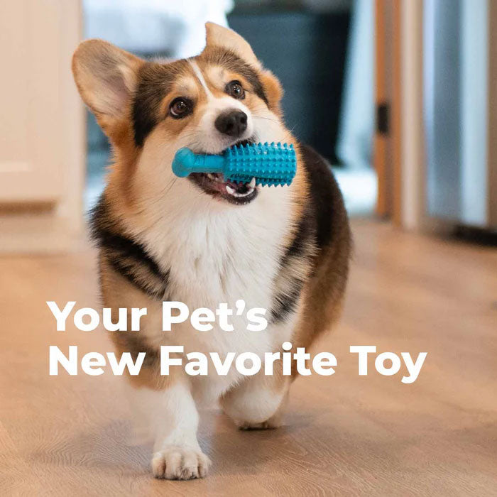 Oxyfresh Juguete Dental