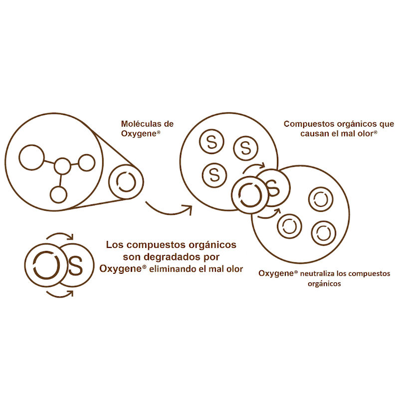 Aditivo para el agua Oxyfresh