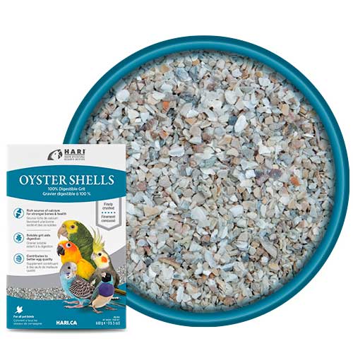 Concha de Ostras Machacadas Hari