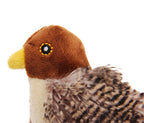 Pájaro con Sonido "Melody Chaser"