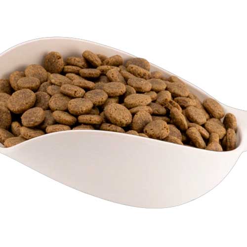 Cucharón Beco para Alimento - Celeste