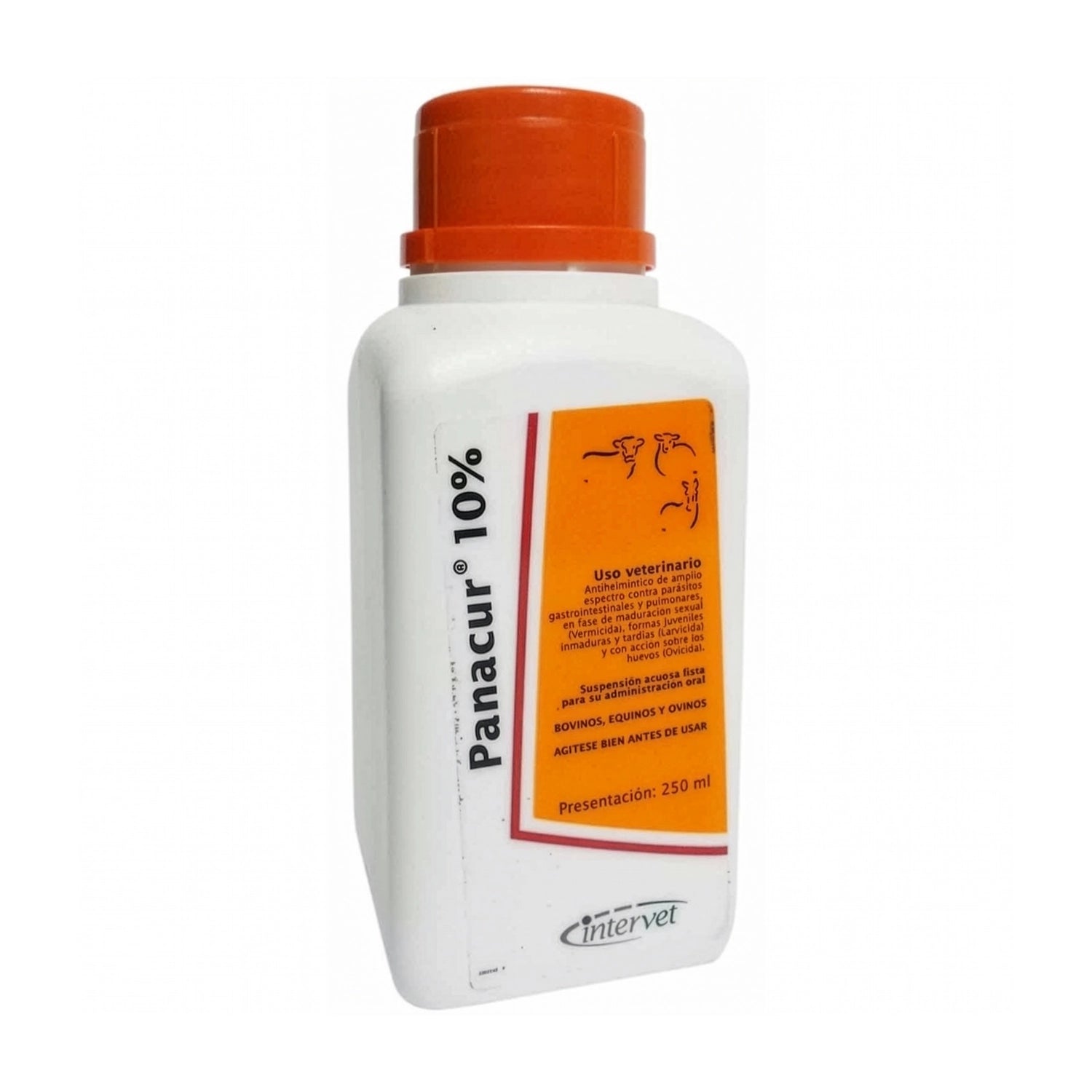 Panacur 10% Solución Oral en frasco  250 ml blanco con tapa naranja y etiqueta veterinaria para desparasitación animal.