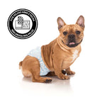 Pañales para Perros Machos