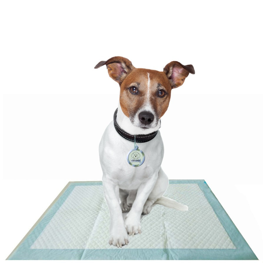 Alfombras de Adiestramiento "Home Guard" para Perros - 100 unidades