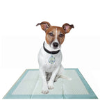 Alfombras de Adiestramiento "Home Guard" para Perros