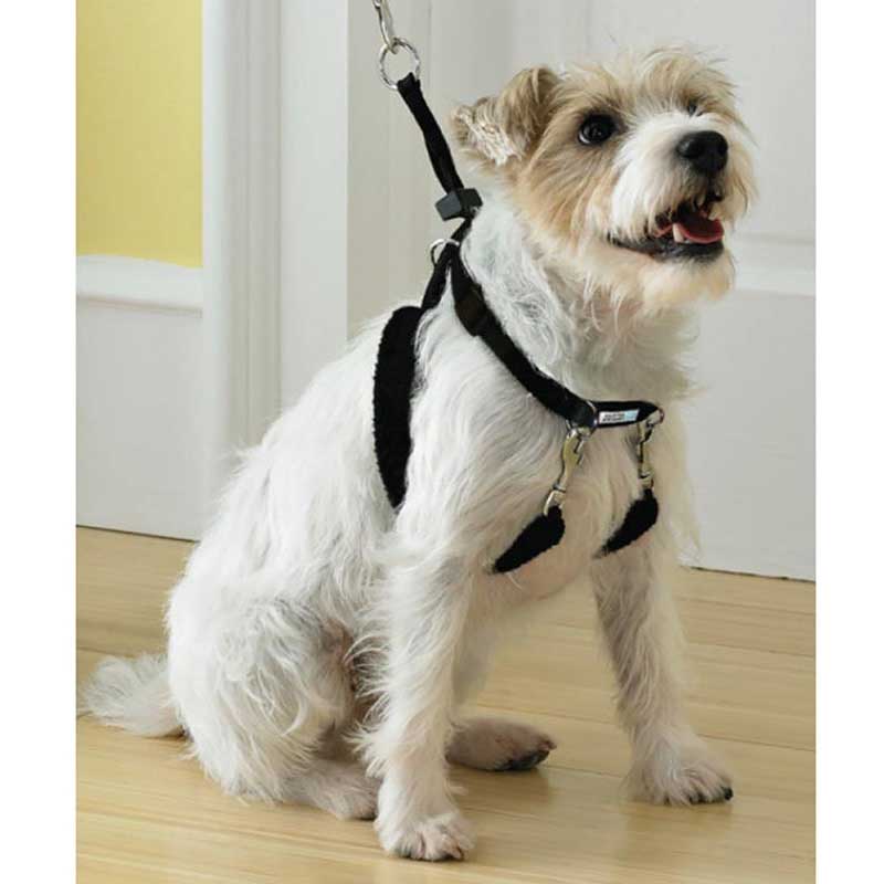 Arnés de Entrenamiento Pawise para Perros - S