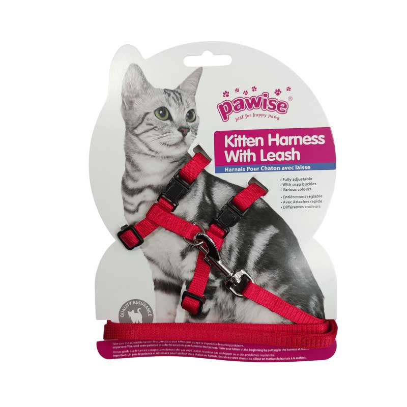 Arnés con Correa Color Pawise para Gatos