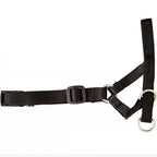 Cabestro Pawise para Perros - L