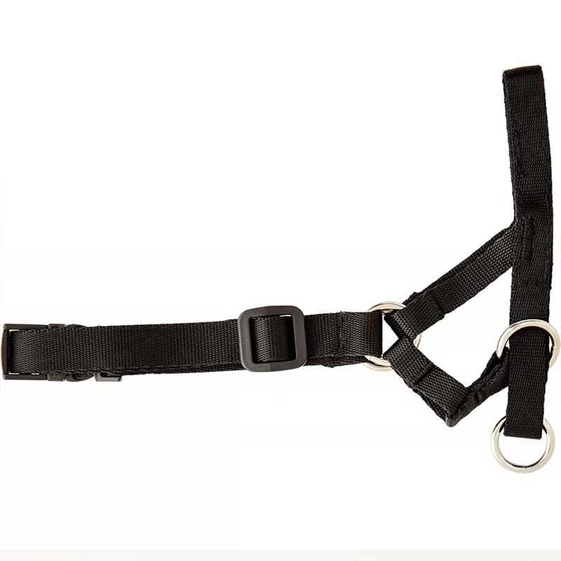 Cabestro Pawise para Perros - L