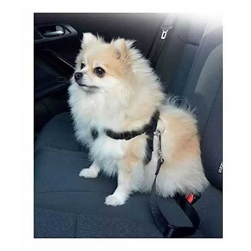 Cinturón y Arnés de Seguridad Pawise para Perros - L