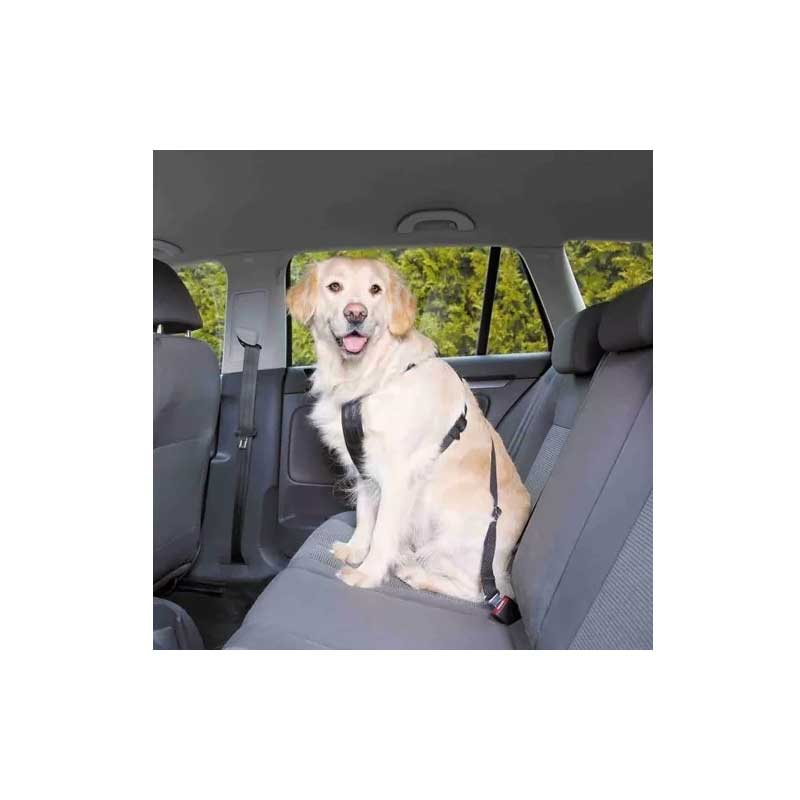 Cinturón y Arnés de Seguridad Pawise para Perros