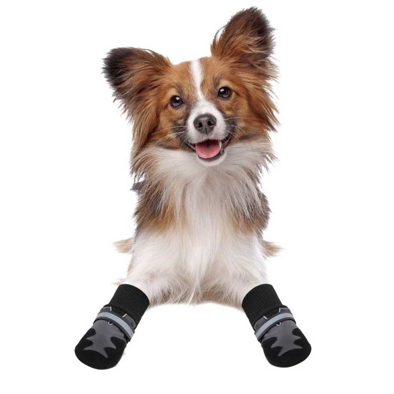 Pawise Zapatos para Perros - talla 7
