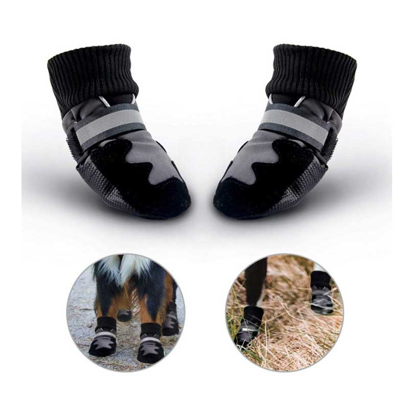 Pawise Zapatos para Perros - talla 4