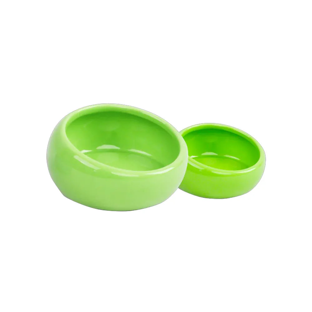 Pawise Plato Ergonómico Verde para Pequeños Animales, bowl inclinado de plástico resistente que mejora la postura al comer