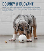 Planet Dog Pelota de Deportes Golf