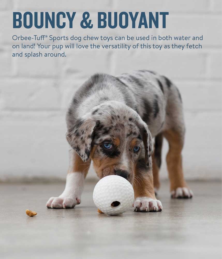 Planet Dog Pelota de Deportes Golf