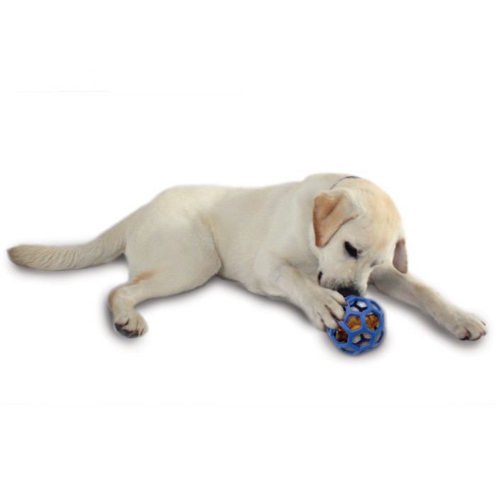 Pelota Malla Hol-ee Roller