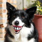 Kong Grinz Balls Pelotas para Perros diseño de dientes blancos impresos, juguete resistente para buscar y morder.