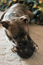 Pelota Malla Hol-ee Roller X