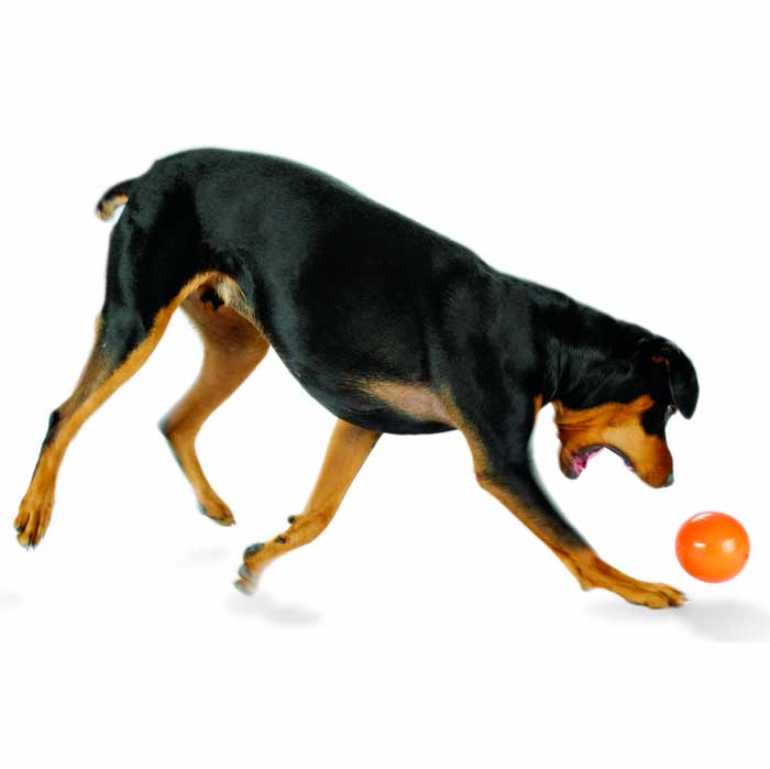 Planet Dog Pelota Sol