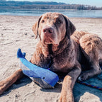 Peluche Ballena con Sonido Tall Tails 