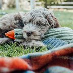 Peluche Pato con Sonido Tall Tails